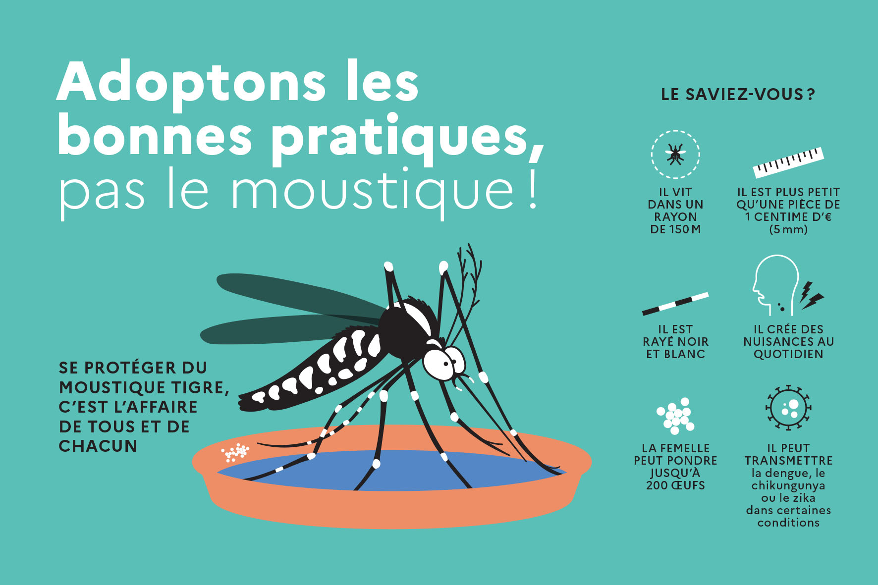 Campagne - Moustiques Tigres